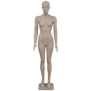Female Mannequin Set